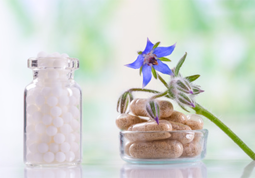 Phytotherapie à la Pharmacie du Pont Rouge Cenon